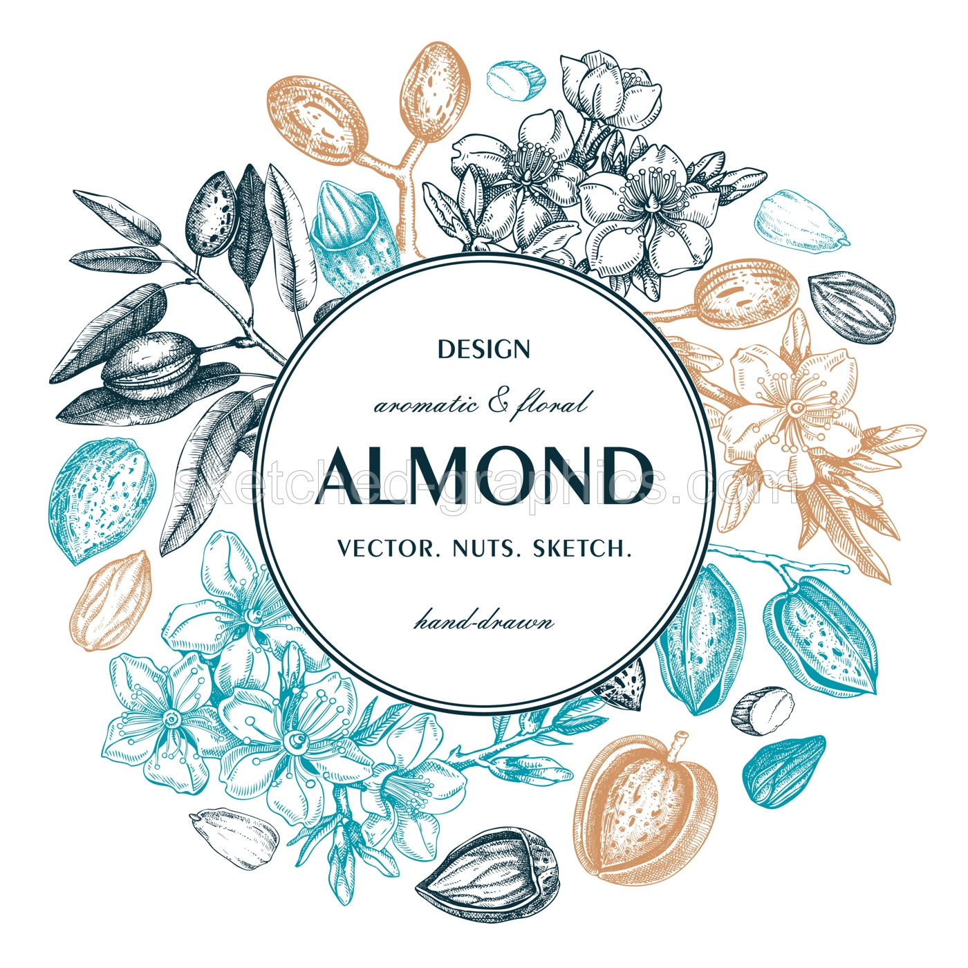 Almond nut wreath design.Blooming branches, nuts, flower sketches. Hand-drawn vector illustration. Botanical background. NOT AI generated Illustration